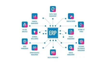 Without ERP, Can You Still Compete in the Digital Age?