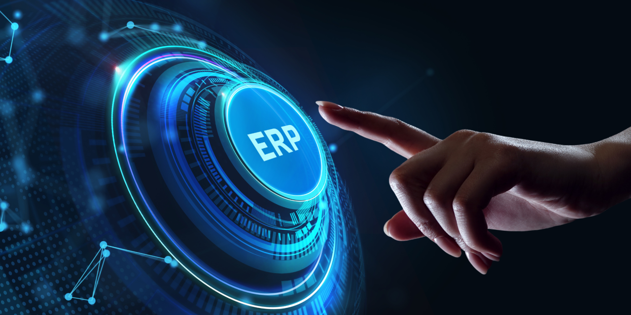 Rekomendasi Pemilihan Sistem ERP Terbaik di Indonesia